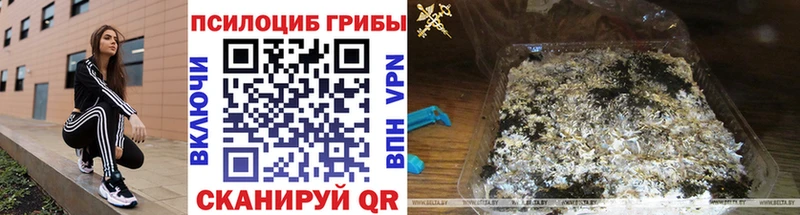 Псилоцибиновые грибы Psilocybine cubensis  даркнет сайт  Нариманов 